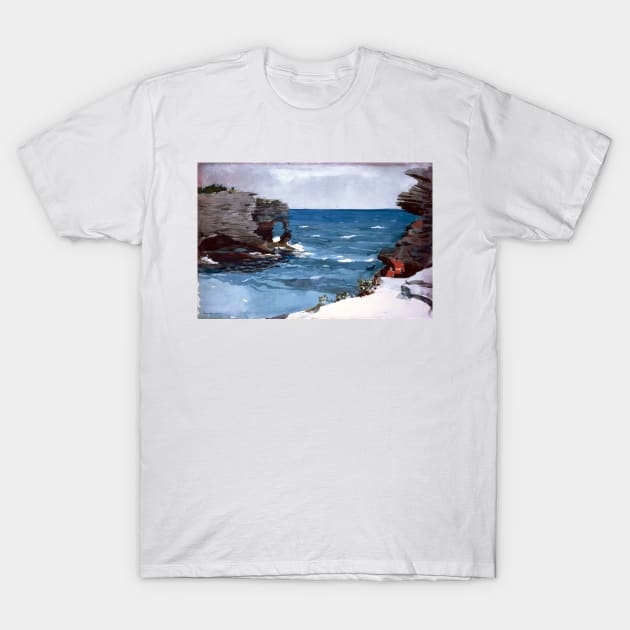 Winslow Homer Rocky Shore, Bermuda T-Shirt by pdpress